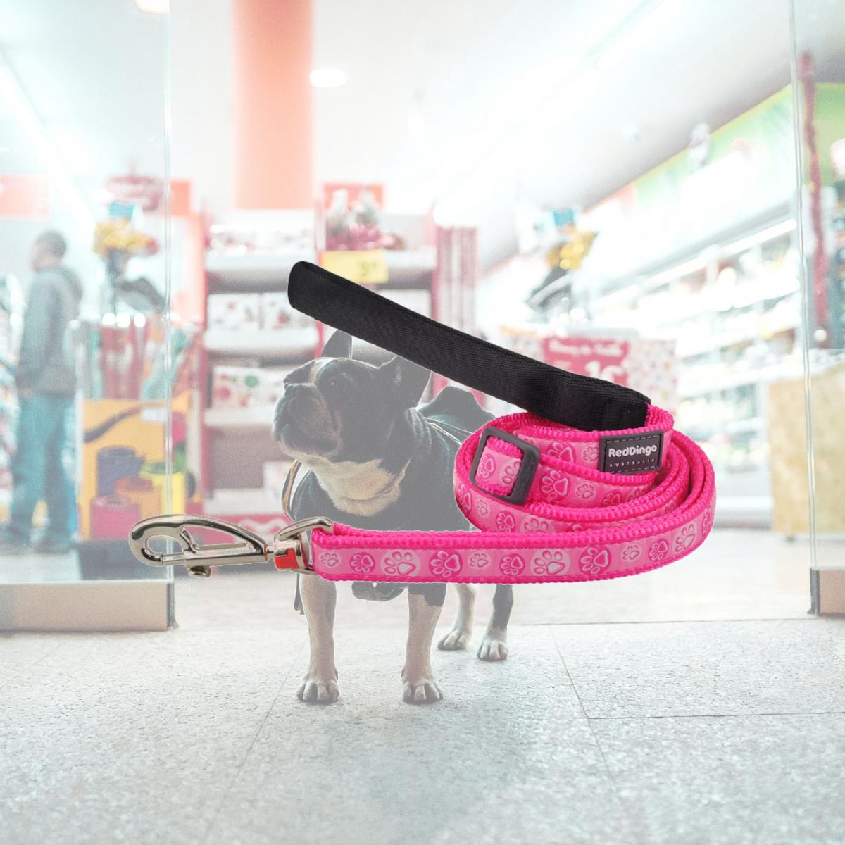 Picture of Red Dingo L6-PI-HP-15 Dog Lead Design Paw Impressions Hot Pink - Small 6ft