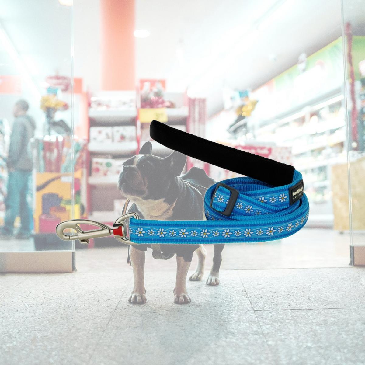 Picture of Red Dingo L6-DC-TQ-15 Daisy Chain Dog Lead Design Turquoise - Small 6ft