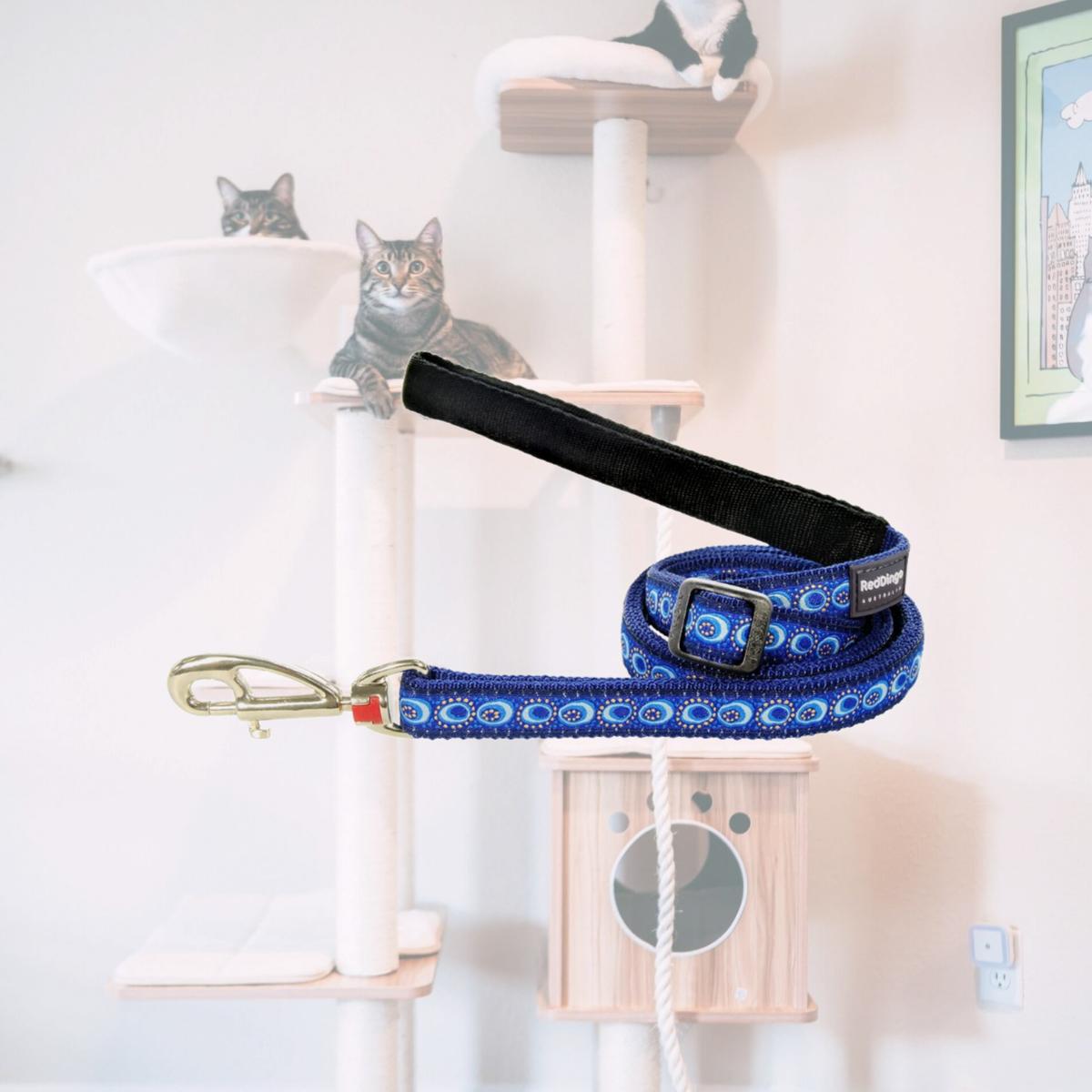 Picture of Red Dingo L6-CO-DB-15 Dog Lead Design Cosmos Dark Blue - Small 6ft