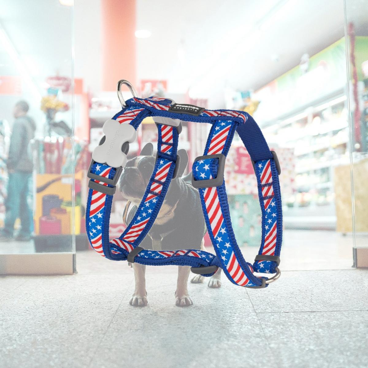 Picture of Red Dingo DH-US-DB-12 Dog Harness US Flag Dark Blue - Extra Small