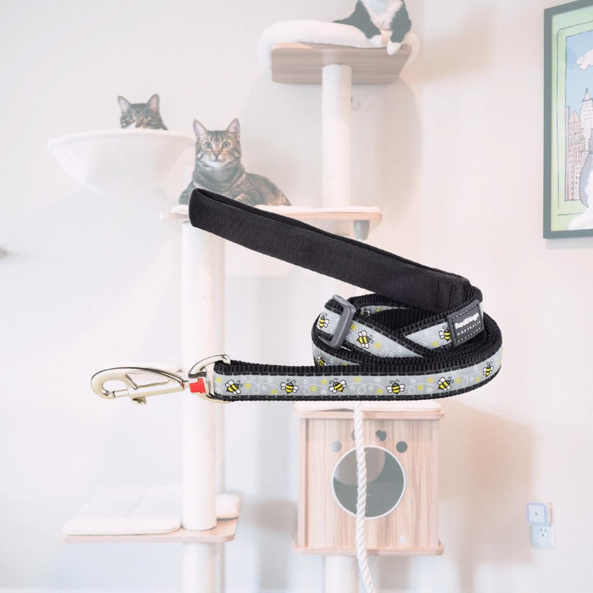 Picture of Red Dingo L6-BM-BB-15 Dog Lead Design Bumble Bee Black - Small 6ft