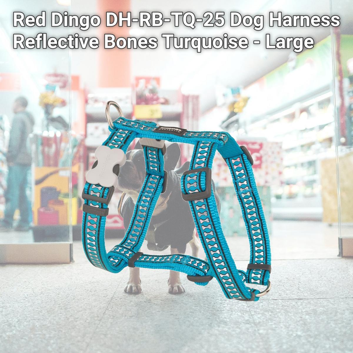 Picture of Red Dingo DH-RB-TQ-25 Dog Harness Reflective Bones Turquoise - Large