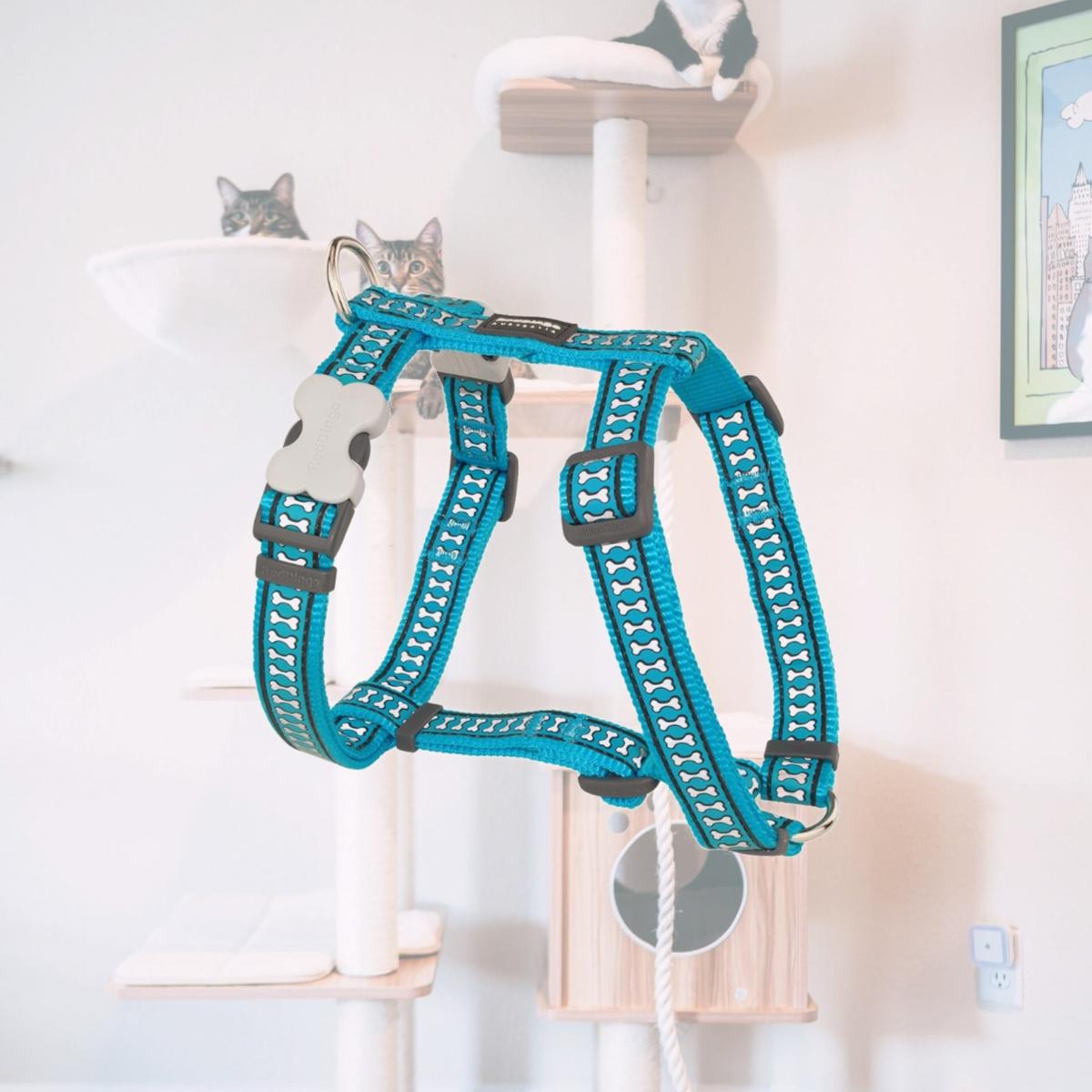 Picture of Red Dingo DH-RB-TQ-25 Dog Harness Reflective Bones Turquoise - Large