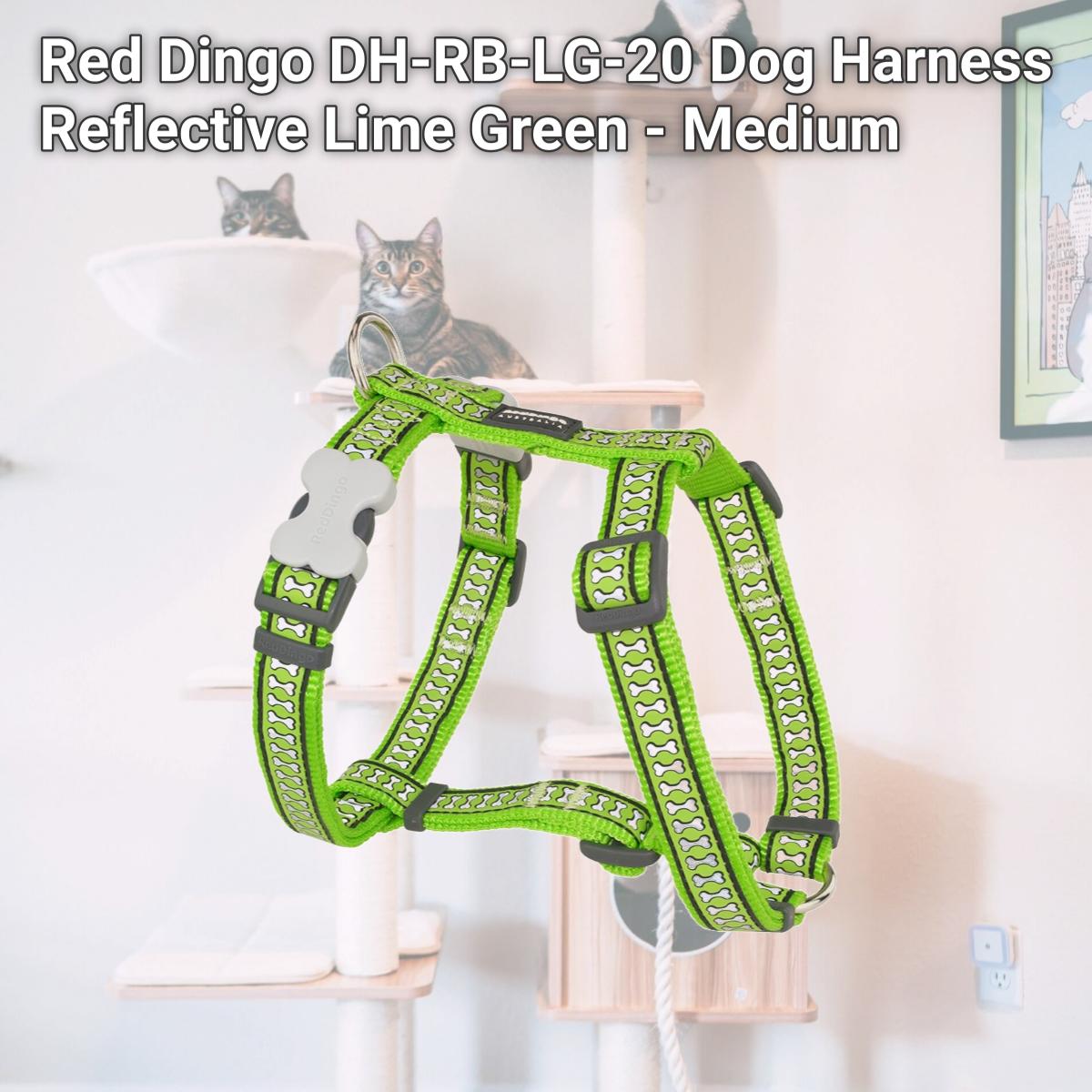 Picture of Red Dingo DH-RB-LG-20 Dog Harness Reflective Lime Green - Medium