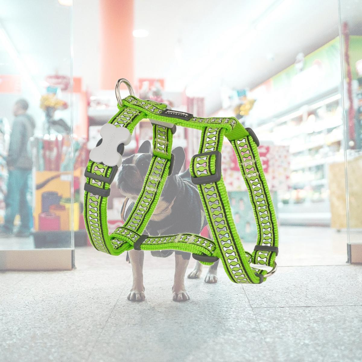 Picture of Red Dingo DH-RB-LG-20 Dog Harness Reflective Lime Green - Medium