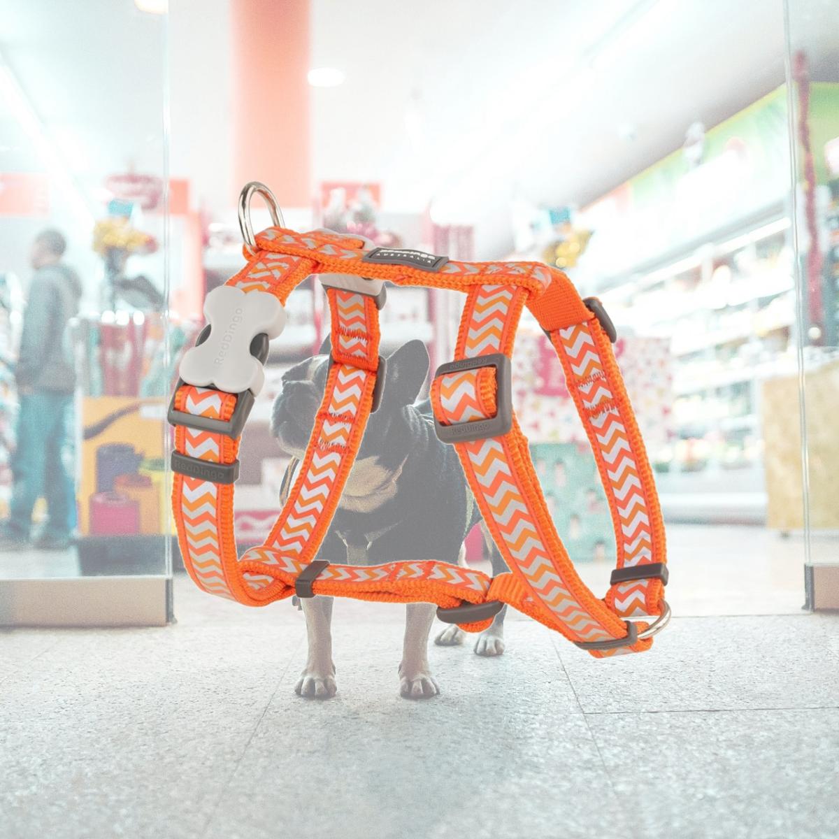 Picture of Red Dingo DH-RZ-OR-25 Dog Harness Reflective Ziggy Orange - Large