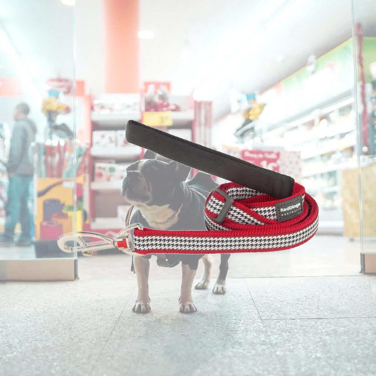 Picture of Red Dingo L6-FG-RE-12 Dog Lead Design Fang It Red - Extra Small 6ft