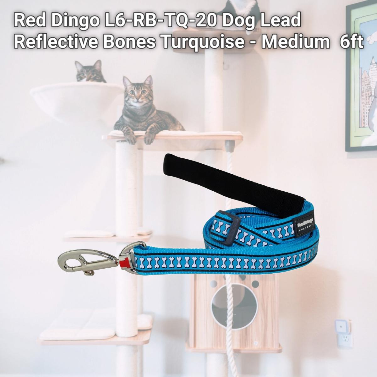 Picture of Red Dingo L6-RB-TQ-20 Dog Lead Reflective Bones Turquoise - Medium  6ft