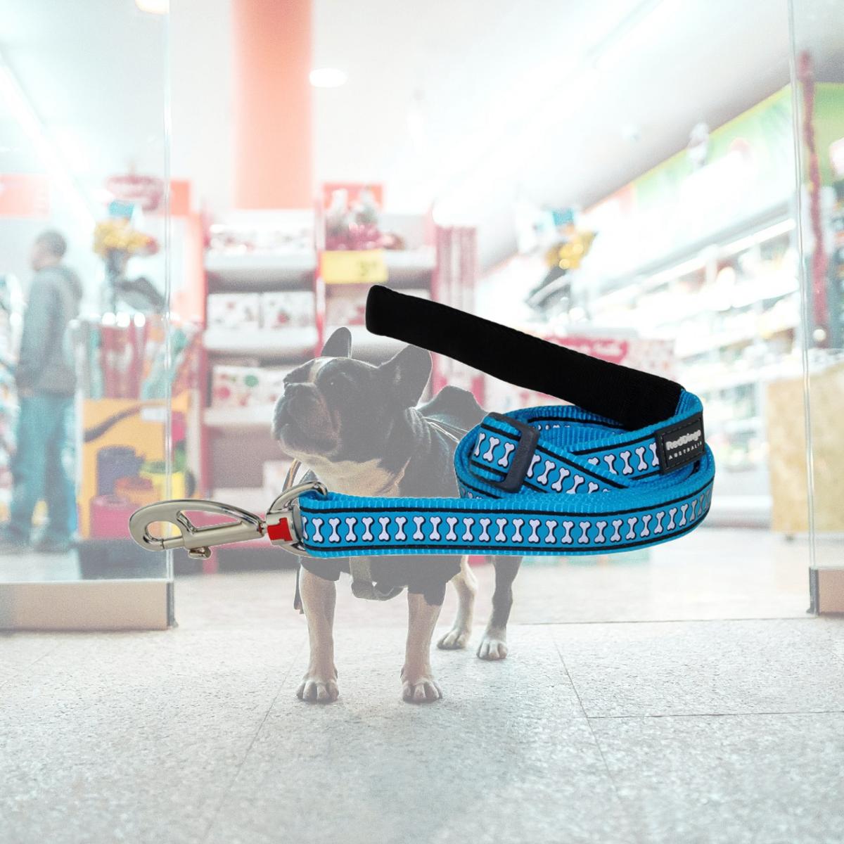 Picture of Red Dingo L6-RB-TQ-20 Dog Lead Reflective Bones Turquoise - Medium  6ft