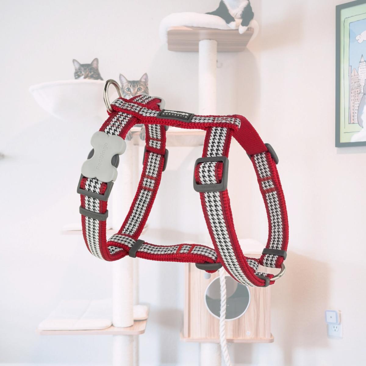 Picture of Red Dingo DH-FG-RE-20 Dog Harness Fang It Red - Medium