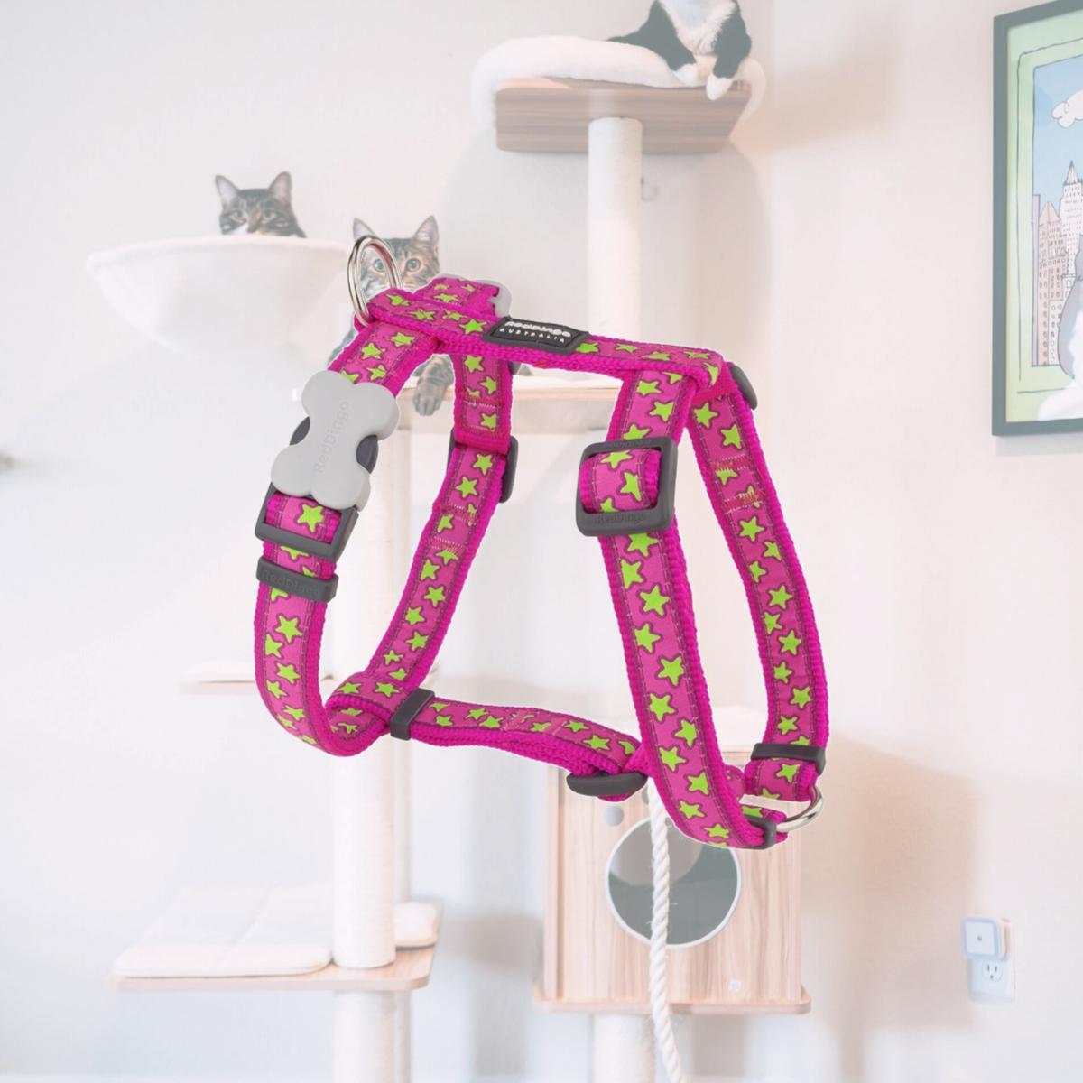 Picture of Red Dingo DH-ST-HP-25 Dog Harness Star Hot Pink - Large