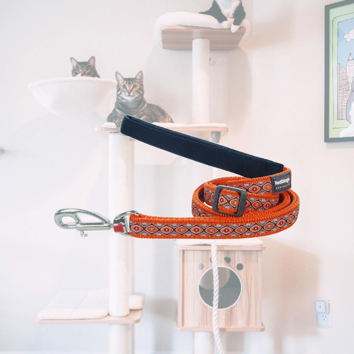 Picture of Red Dingo L6-SE-OR-15 Dog Lead Design Snake Eyes Orange - Small 6ft