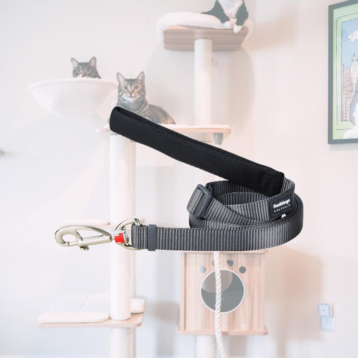 Picture of Red Dingo L6-ZZ-GY-25 Dog Lead Cool Classic Grey - Large 6ft