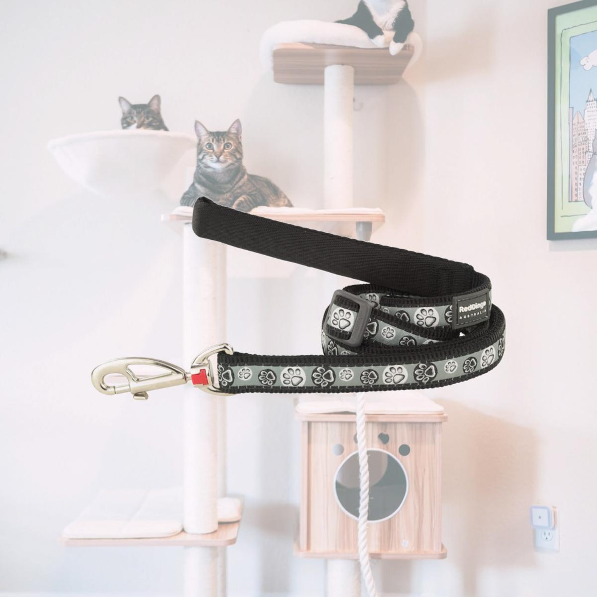 Picture of Red Dingo L6-PI-BB-12 Dog Lead Design Paw Impressions Black - Extra Small 6ft