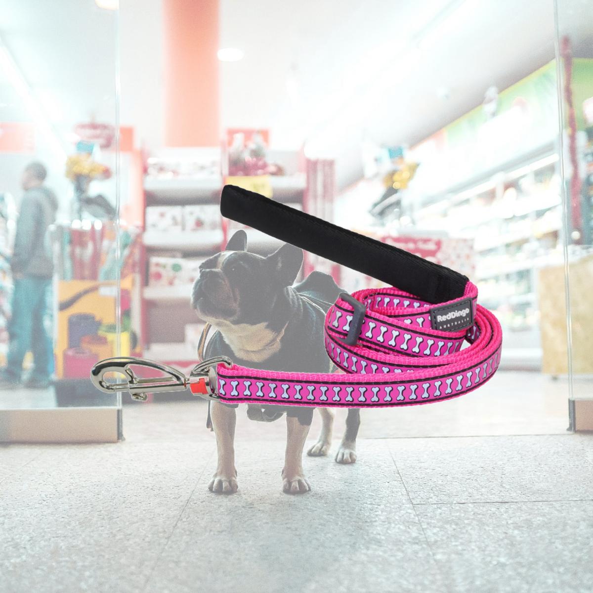 Picture of Red Dingo L6-RB-HP-15 Dog Lead Reflective Bone Hot Pink - Small 6ft