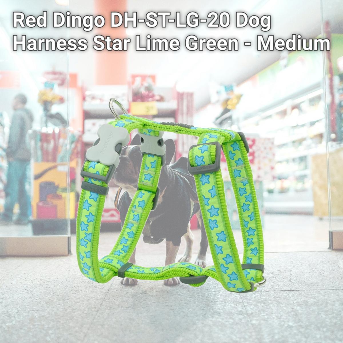Picture of Red Dingo DH-ST-LG-20 Dog Harness Star Lime Green - Medium