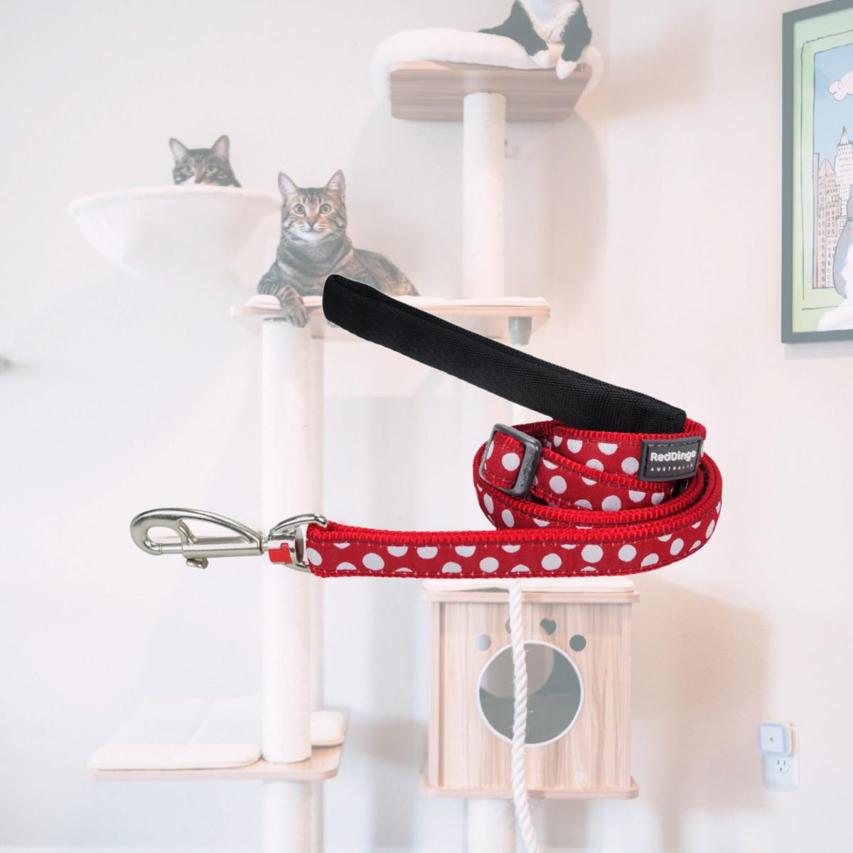 Picture of Red Dingo L6-S5-RE-12 Dog Lead Design White Spots on Red - Extra Small 6ft