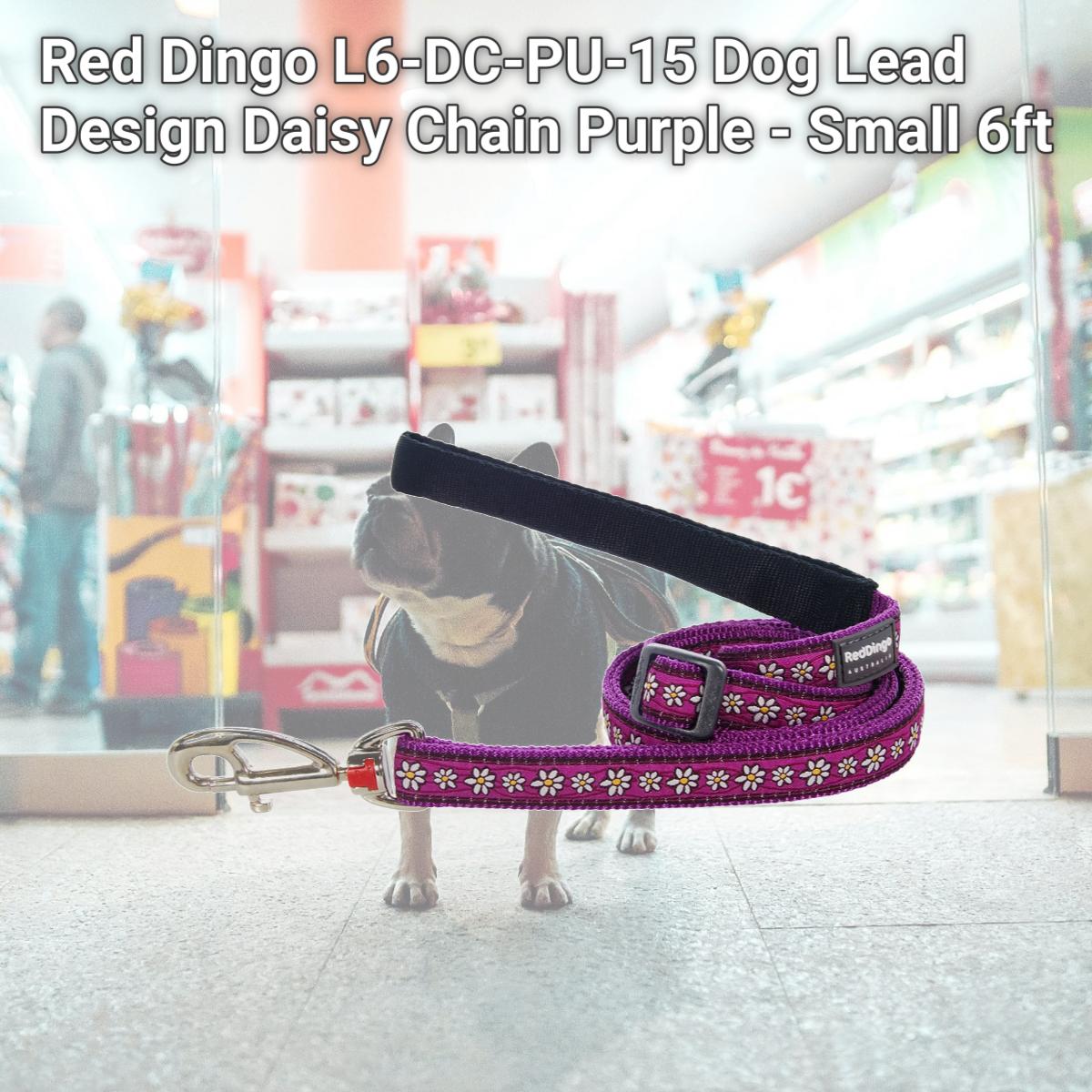 Picture of Red Dingo L6-DC-PU-15 Dog Lead Design Daisy Chain Purple - Small 6ft