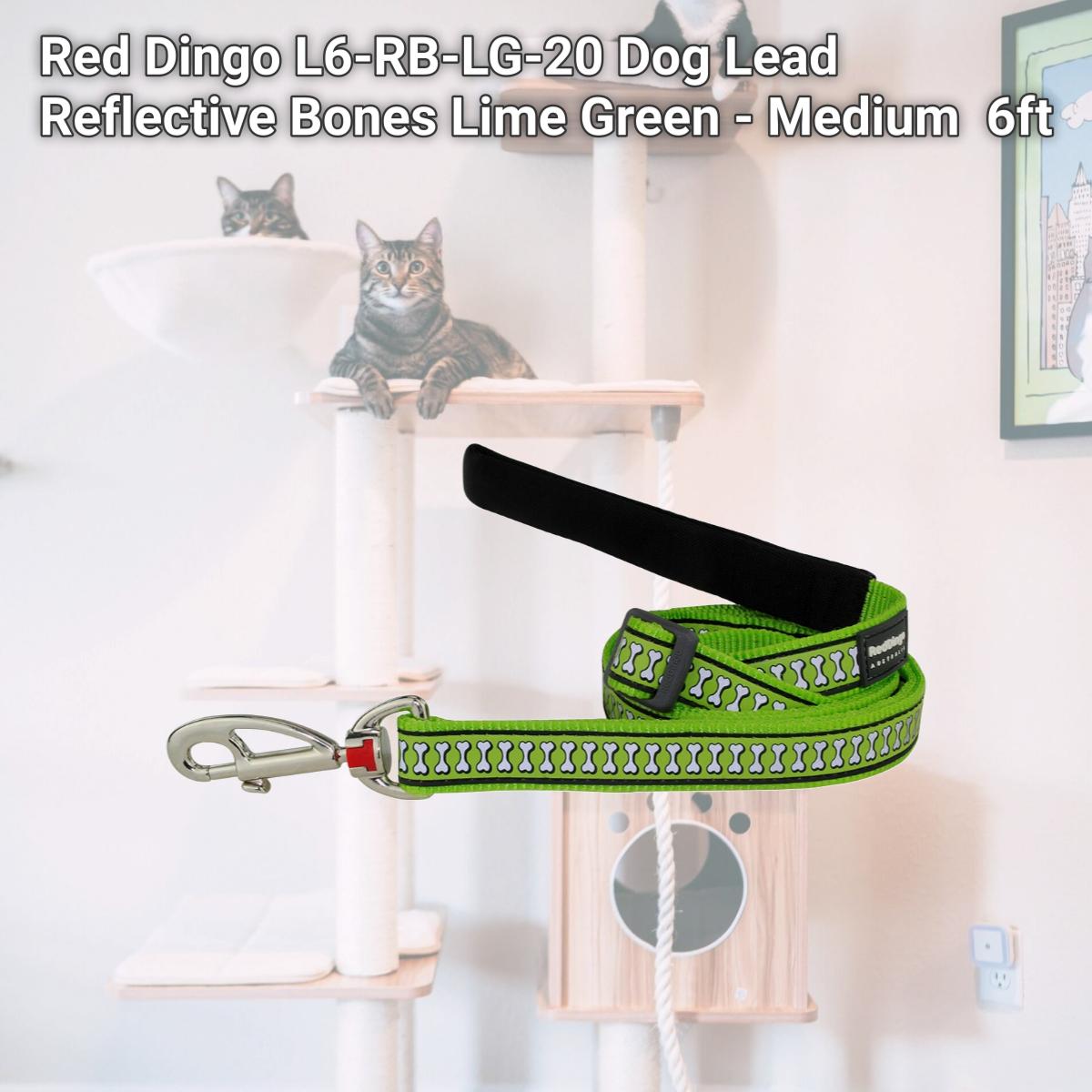 Picture of Red Dingo L6-RB-LG-20 Dog Lead Reflective Bones Lime Green - Medium  6ft