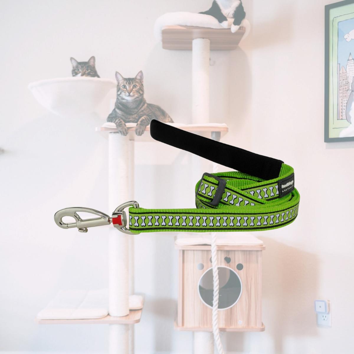 Picture of Red Dingo L6-RB-LG-20 Dog Lead Reflective Bones Lime Green - Medium  6ft