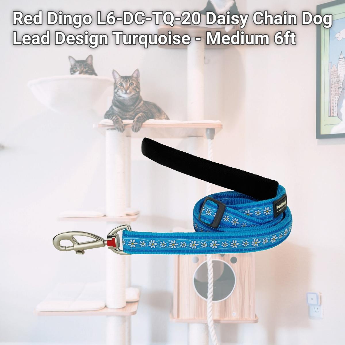 Picture of Red Dingo L6-DC-TQ-20 Daisy Chain Dog Lead Design Turquoise - Medium 6ft