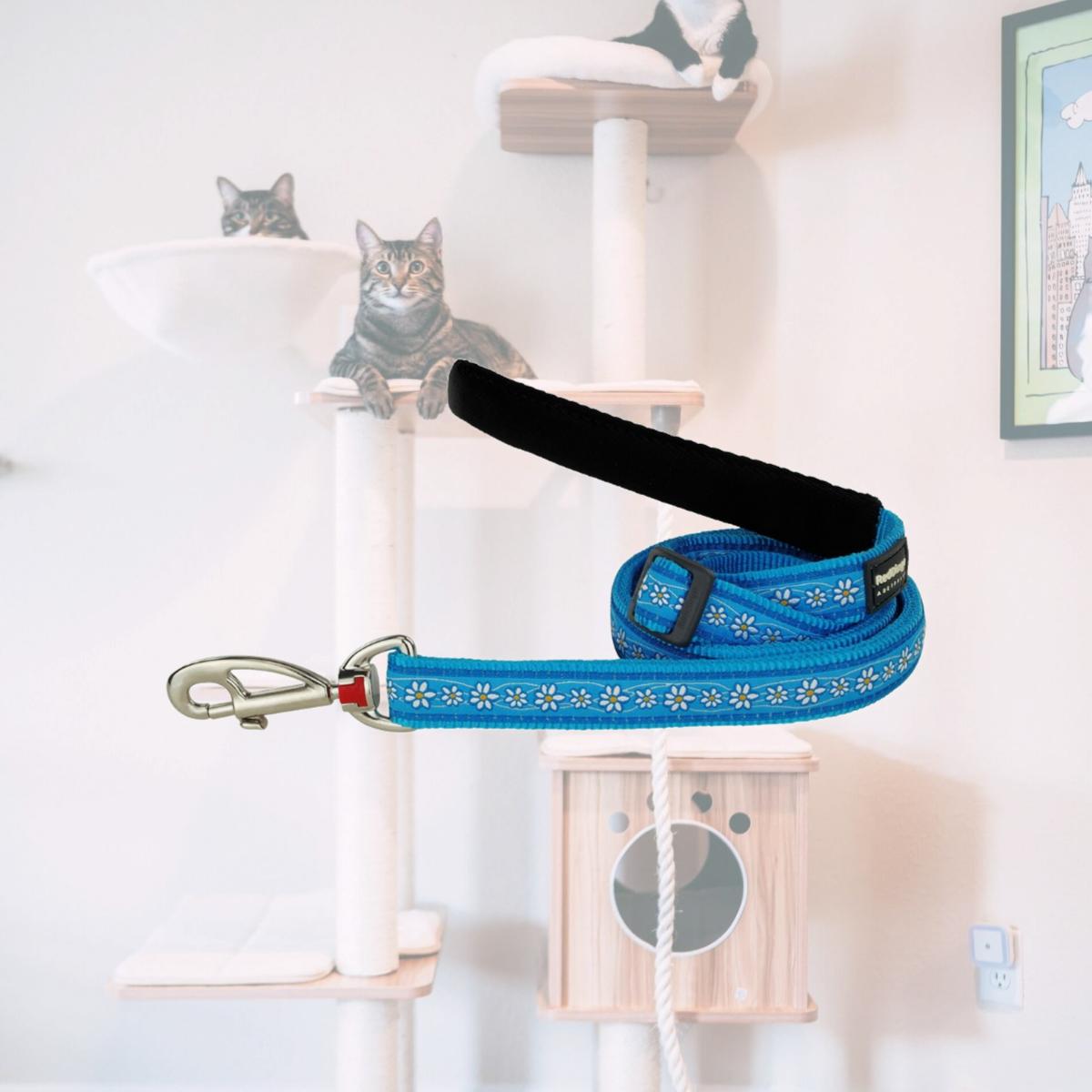 Picture of Red Dingo L6-DC-TQ-20 Daisy Chain Dog Lead Design Turquoise - Medium 6ft