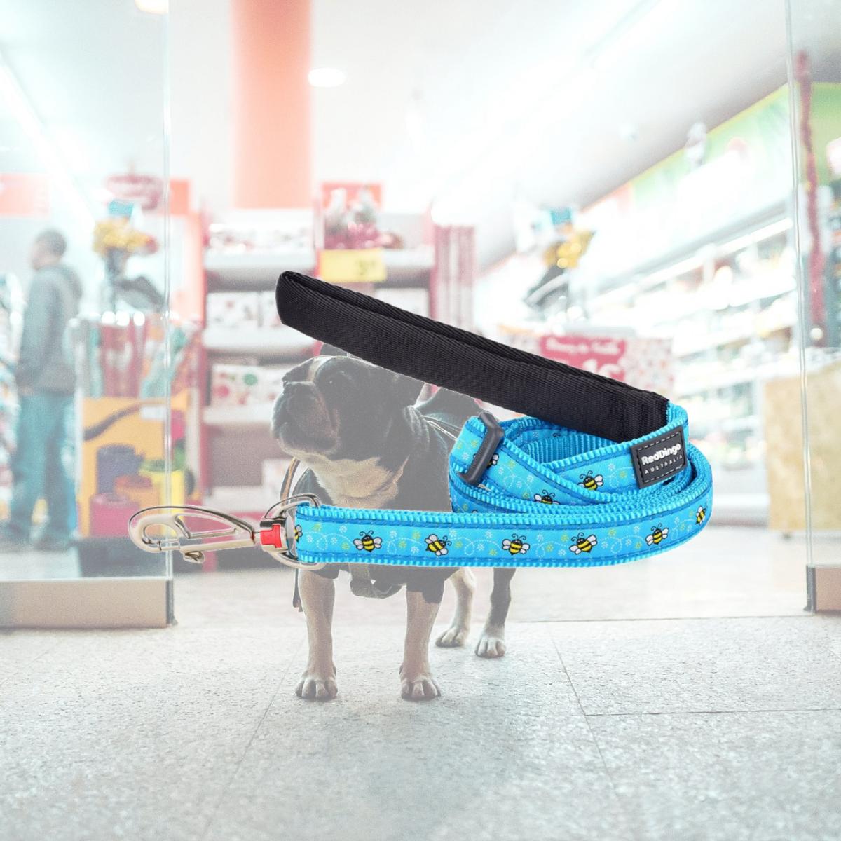 Picture of Red Dingo L6-BM-TQ-15 Dog Lead Design Bumble Bee Turquoise - Small 6ft