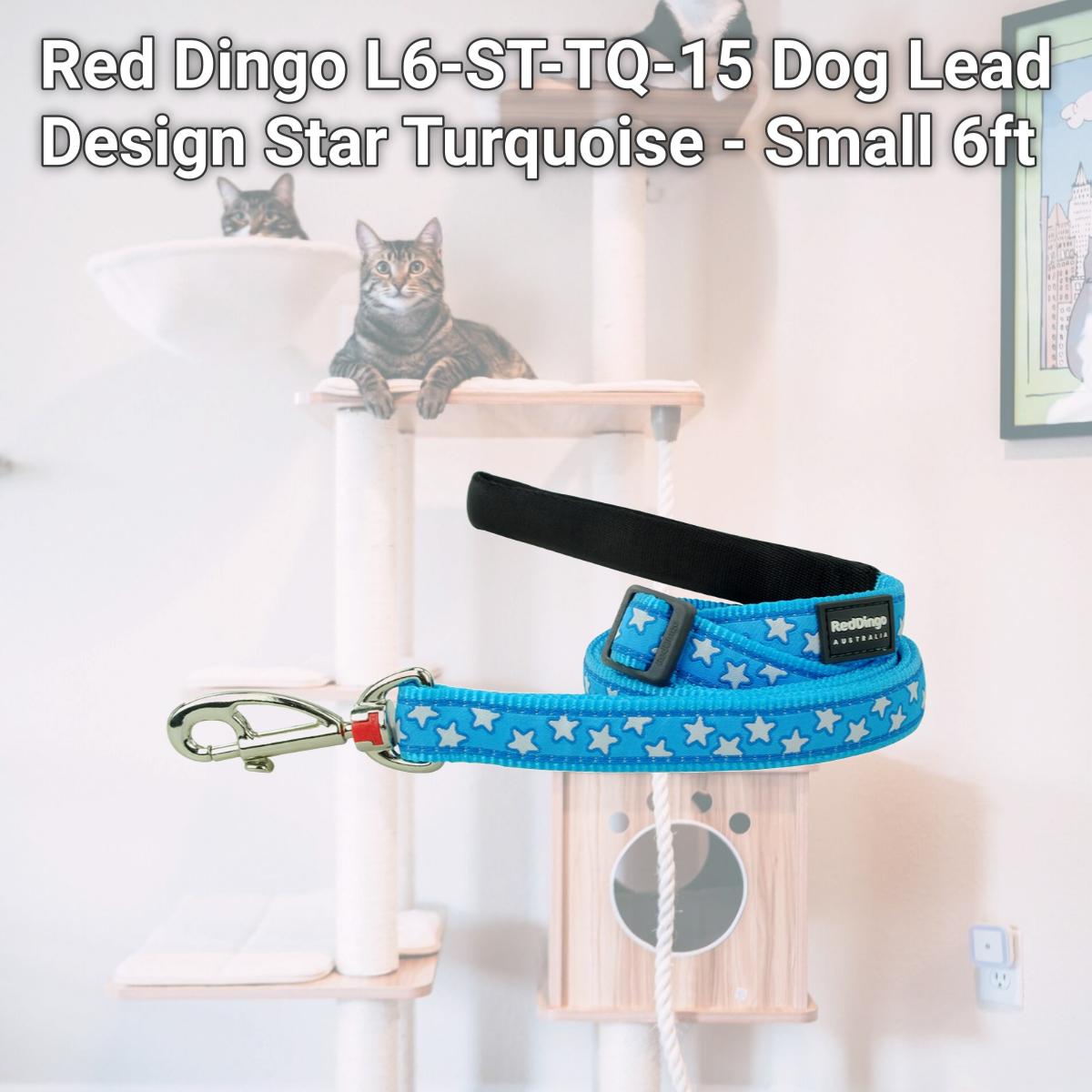 Picture of Red Dingo L6-ST-TQ-15 Dog Lead Design Star Turquoise - Small 6ft