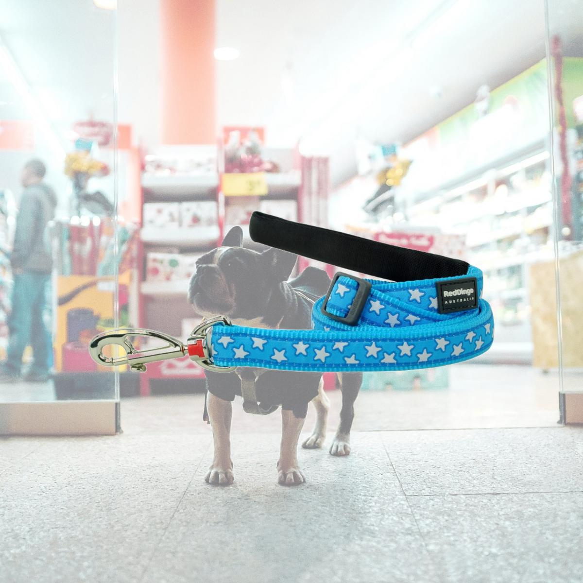 Picture of Red Dingo L6-ST-TQ-15 Dog Lead Design Star Turquoise - Small 6ft