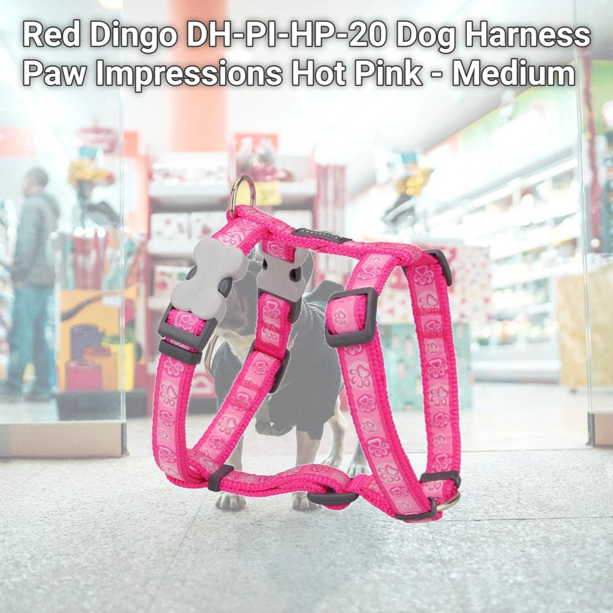 Picture of Red Dingo DH-PI-HP-20 Dog Harness Paw Impressions Hot Pink - Medium