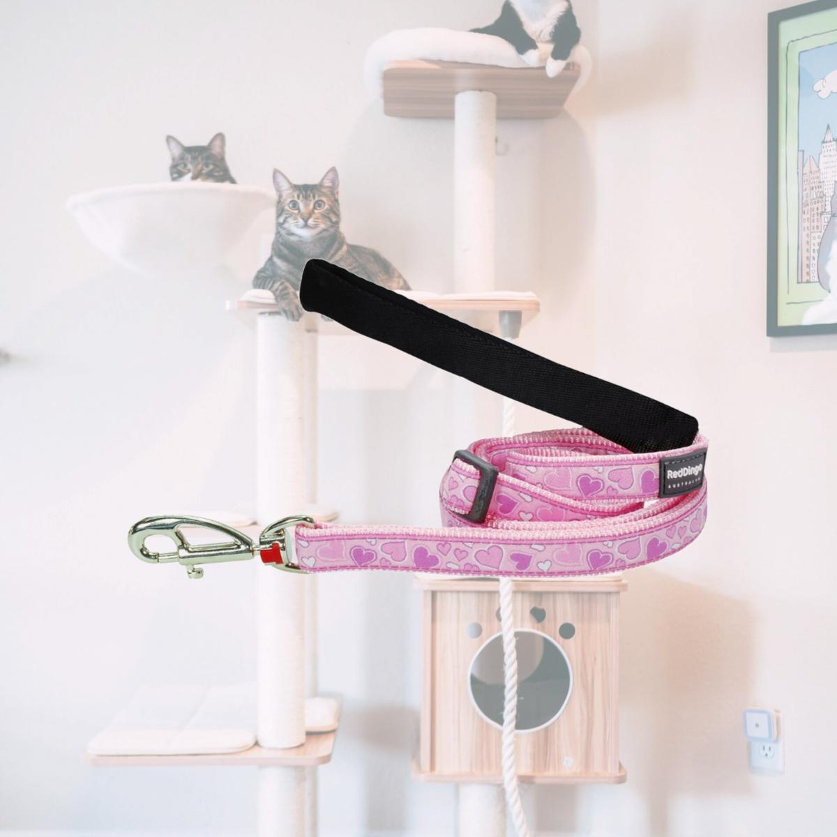 Picture of Red Dingo L6-BZ-PK-15 Dog Lead Design Breezy Love Pink - Small 6ft