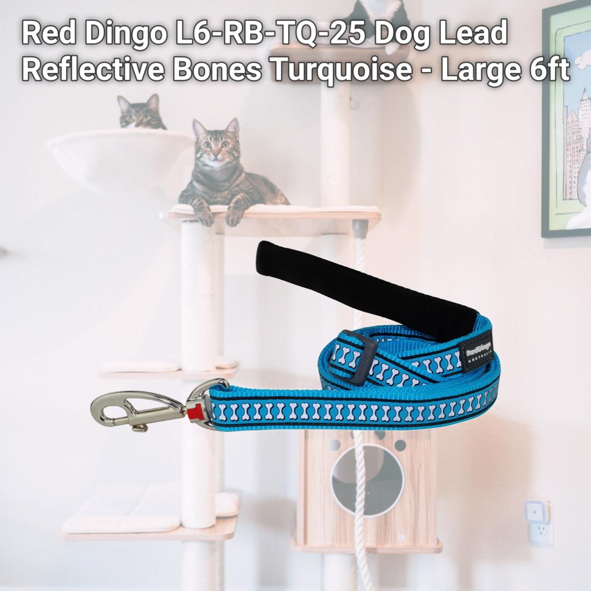 Picture of Red Dingo L6-RB-TQ-25 Dog Lead Reflective Bones Turquoise - Large 6ft
