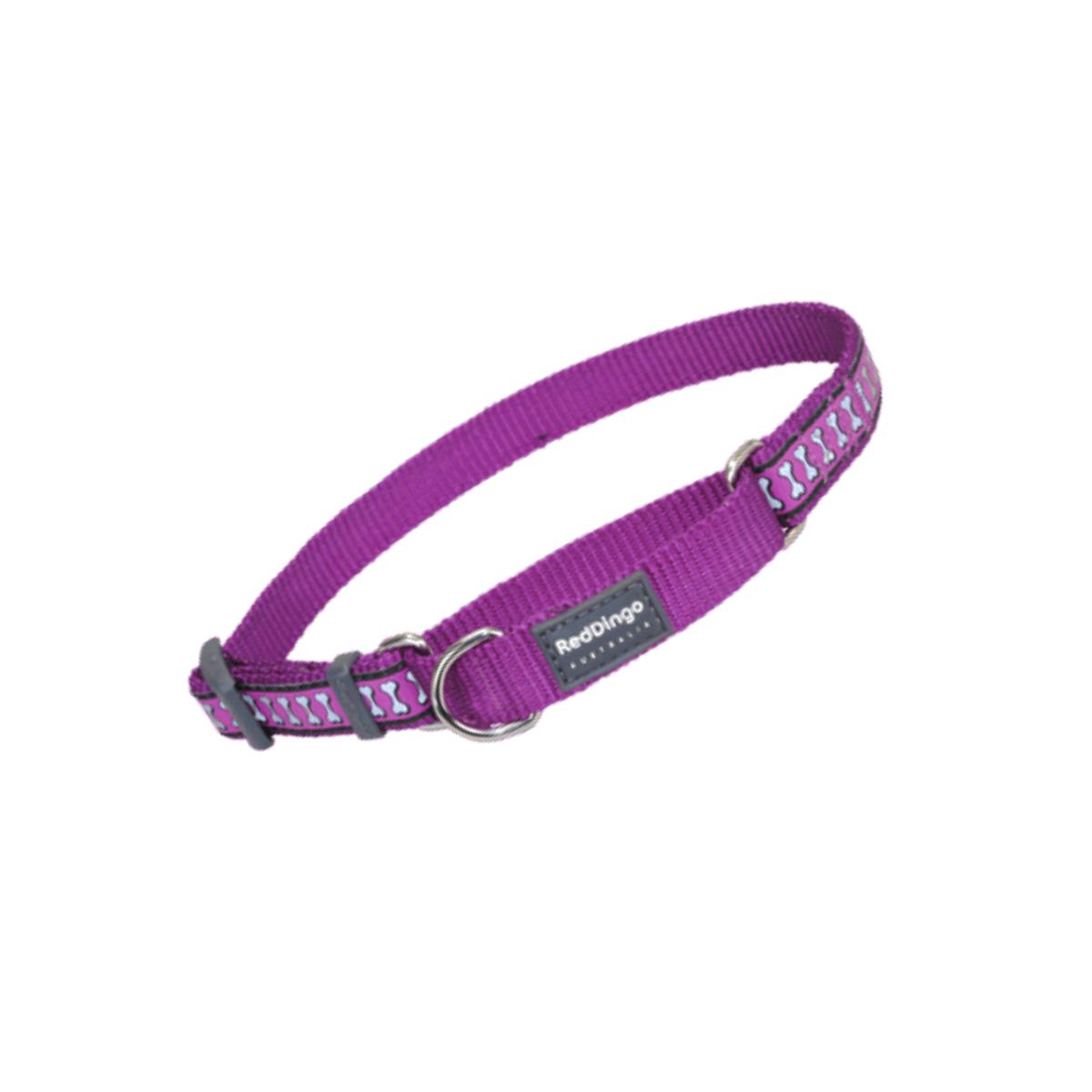 Picture of Red Dingo MC-RB-PU-20 Martingale Dog Collar Reflective Purple- Medium