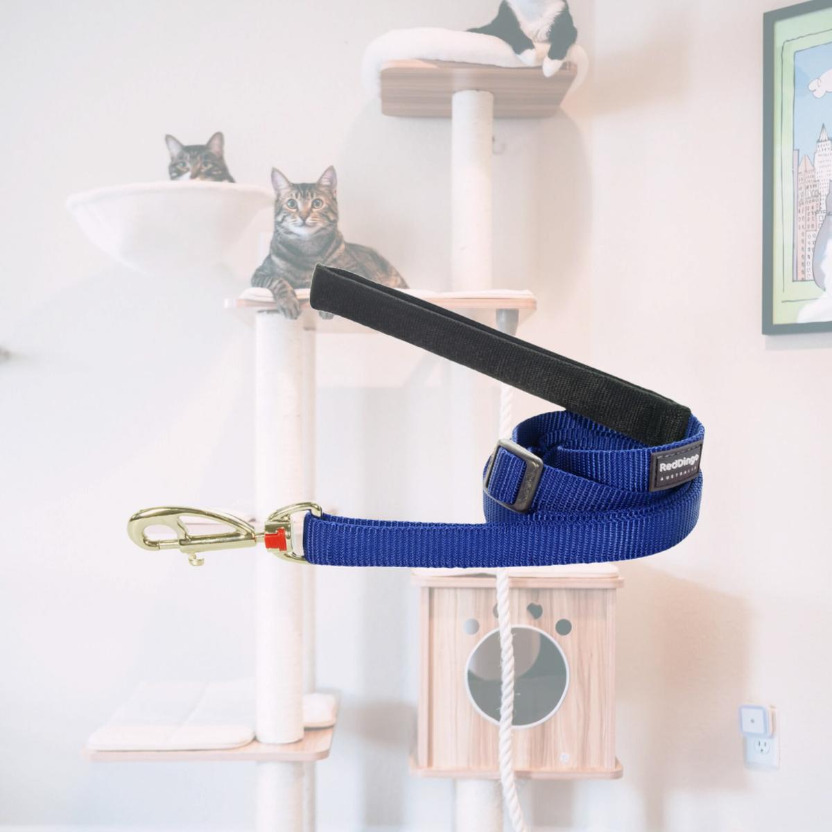 Picture of Red Dingo L6-ZZ-DB-15 Dog Lead Classic Dark Blue - Small 6ft