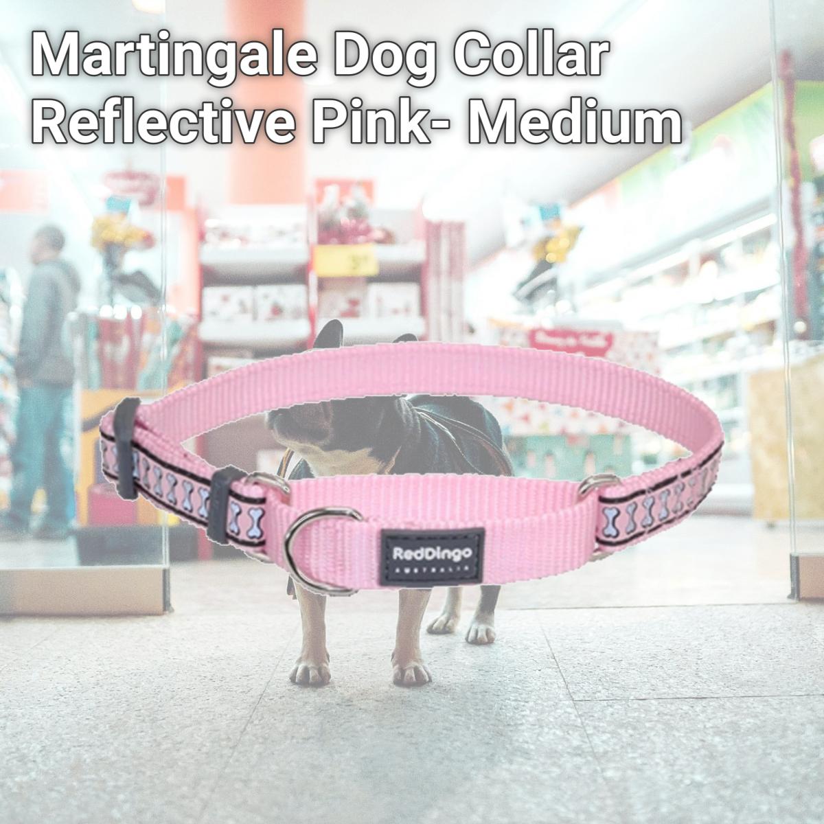 Picture of Red Dingo MC-RB-PK-20 Martingale Dog Collar Reflective Pink- Medium