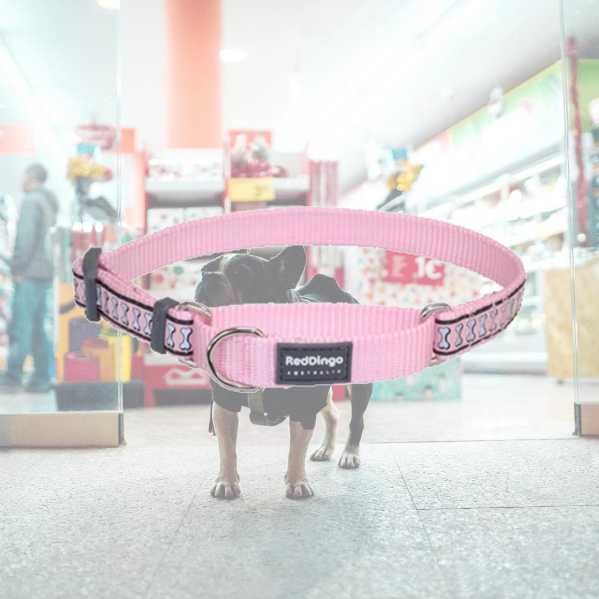 Picture of Red Dingo MC-RB-PK-20 Martingale Dog Collar Reflective Pink- Medium