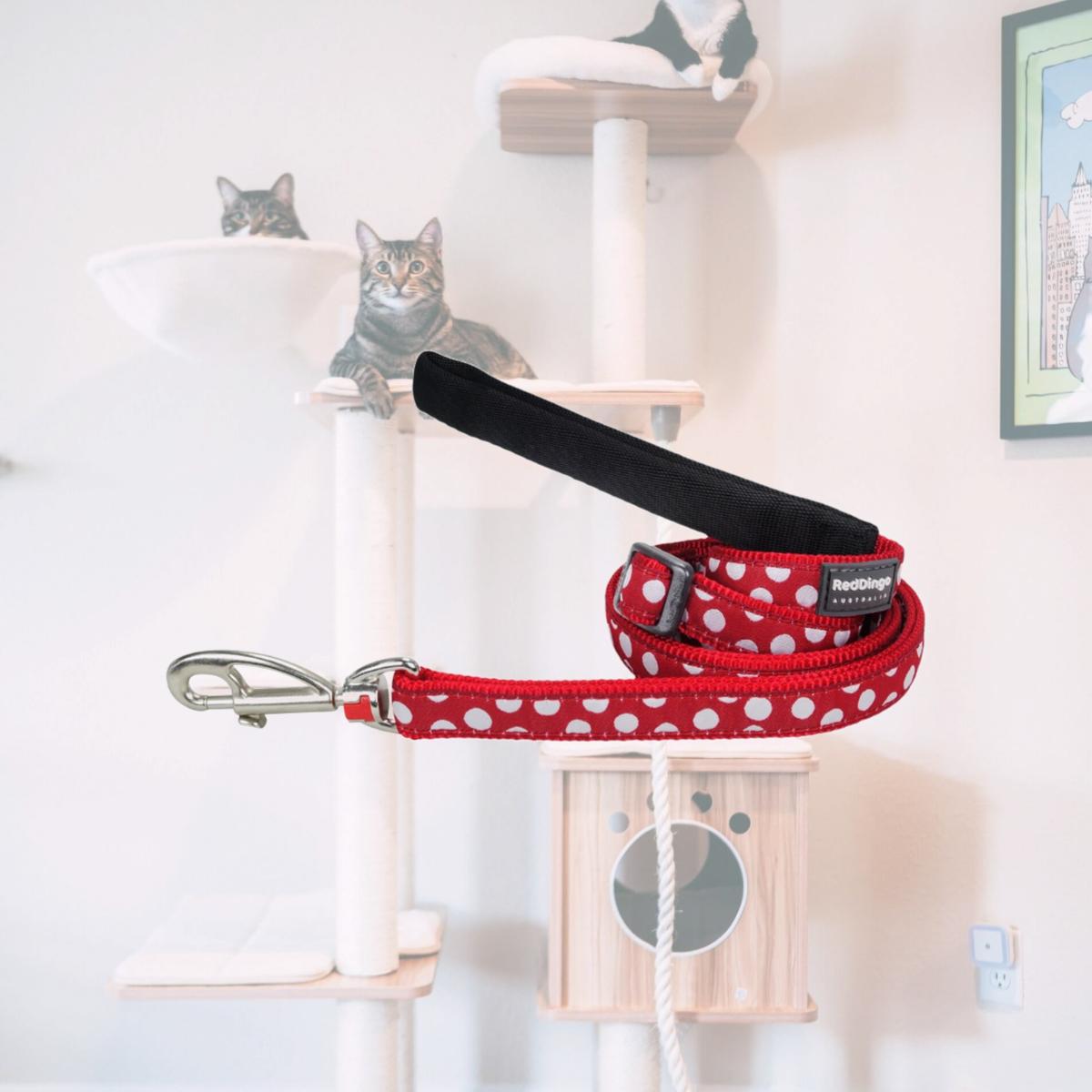 Picture of Red Dingo L6-S5-RE-25 Dog Lead Design White Spots on Red - Large 6ft