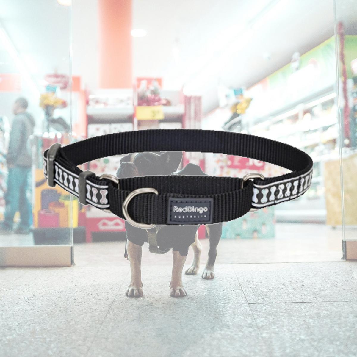 Picture of Red Dingo MC-RB-BB-20 Martingale Dog Collar Reflective Black- Medium