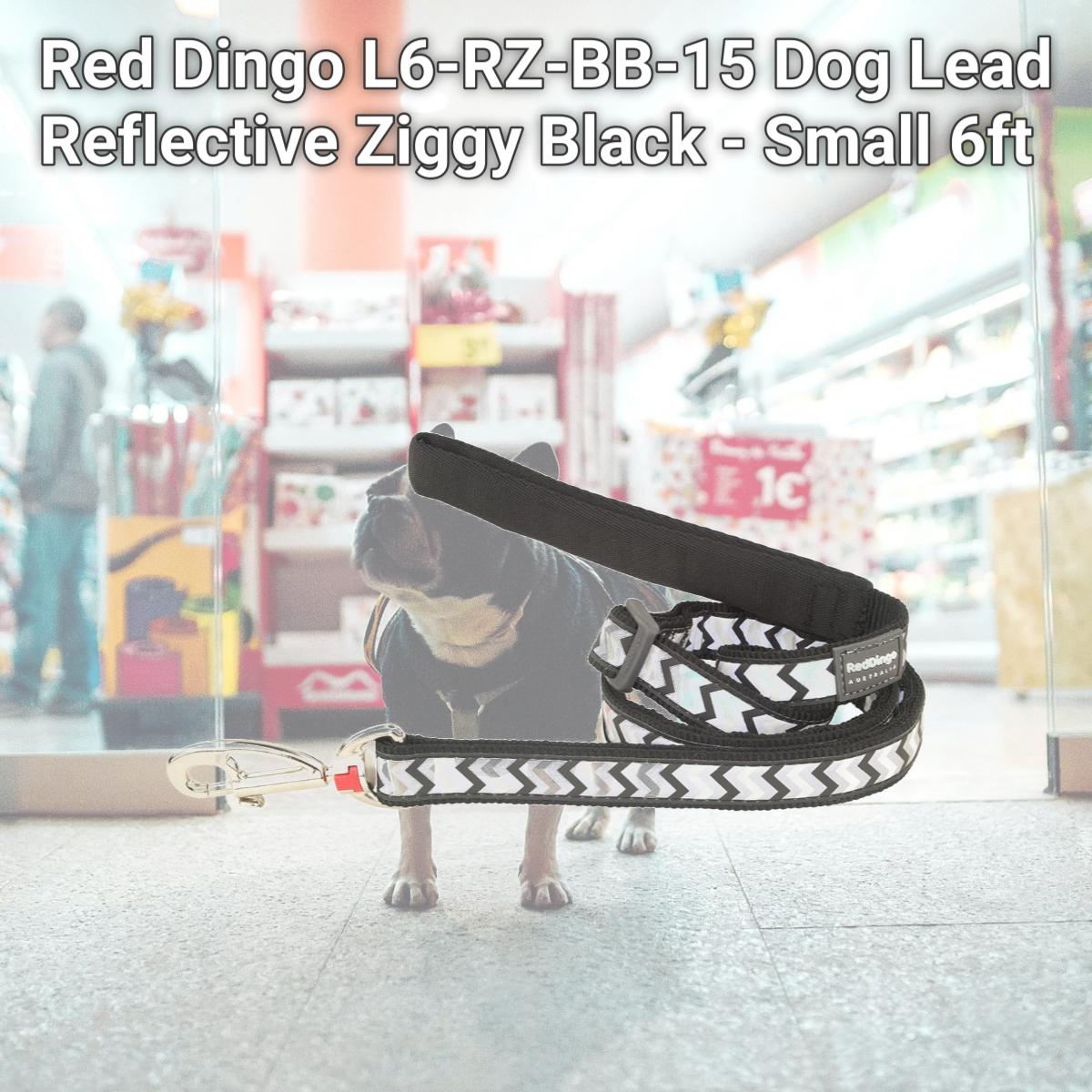 Picture of Red Dingo L6-RZ-BB-15 Dog Lead Reflective Ziggy Black - Small 6ft