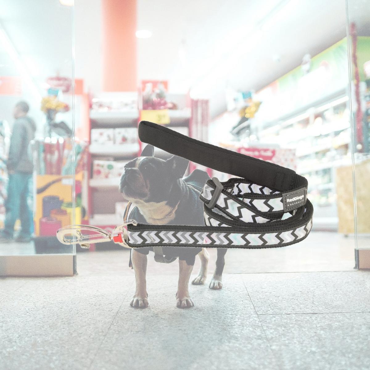 Picture of Red Dingo L6-RZ-BB-15 Dog Lead Reflective Ziggy Black - Small 6ft