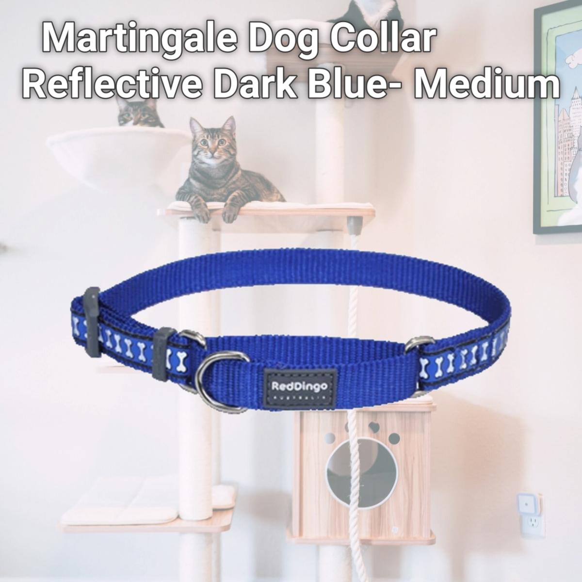 Picture of Red Dingo MC-RB-DB-20 Martingale Dog Collar Reflective Dark Blue- Medium