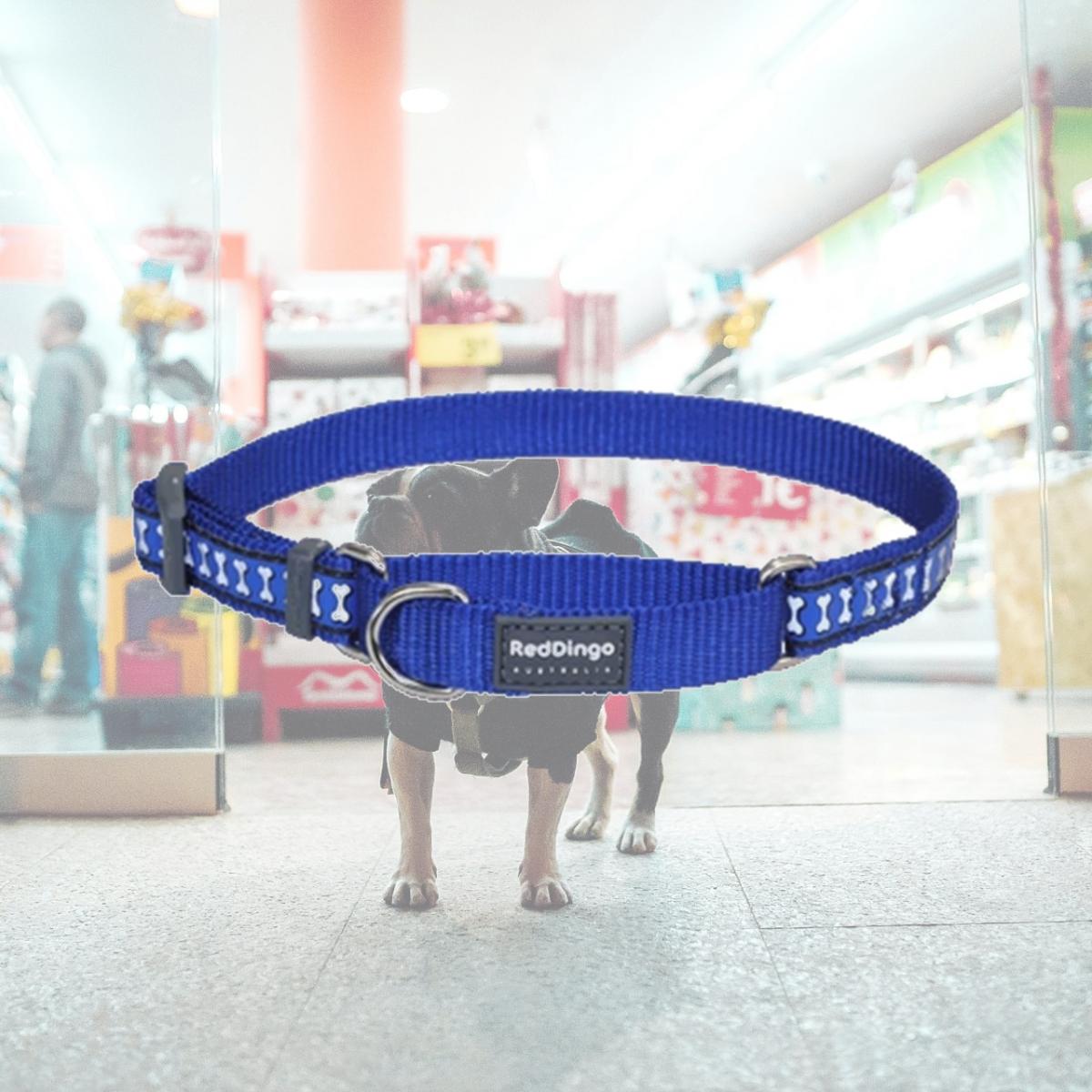 Picture of Red Dingo MC-RB-DB-20 Martingale Dog Collar Reflective Dark Blue- Medium