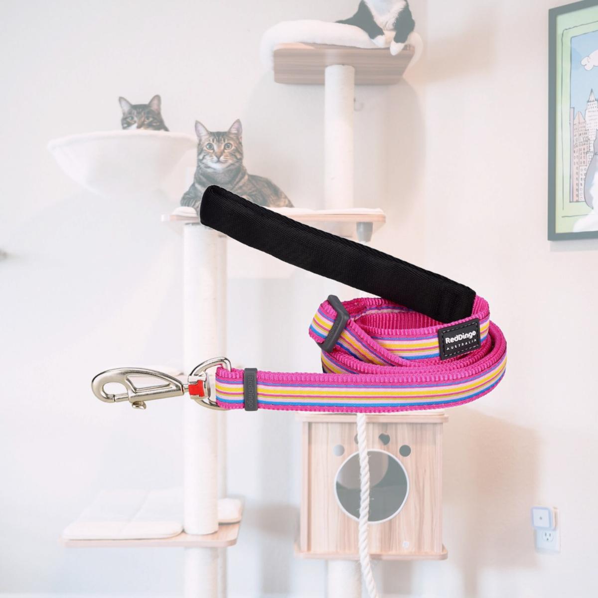 Picture of Red Dingo L6-HO-HP-20 Dog Lead Design Horizontal Stripes Hot Pink - Medium 6ft