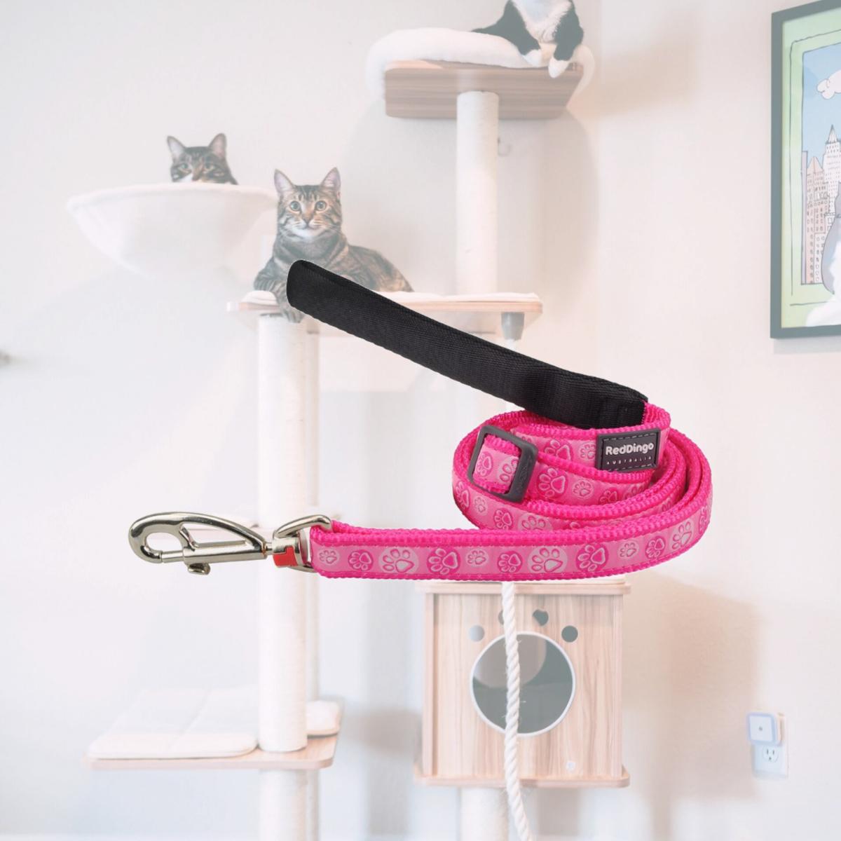 Picture of Red Dingo L6-PI-HP-12 Dog Lead Design Paw Impressions Hot Pink - Extra Small 6ft