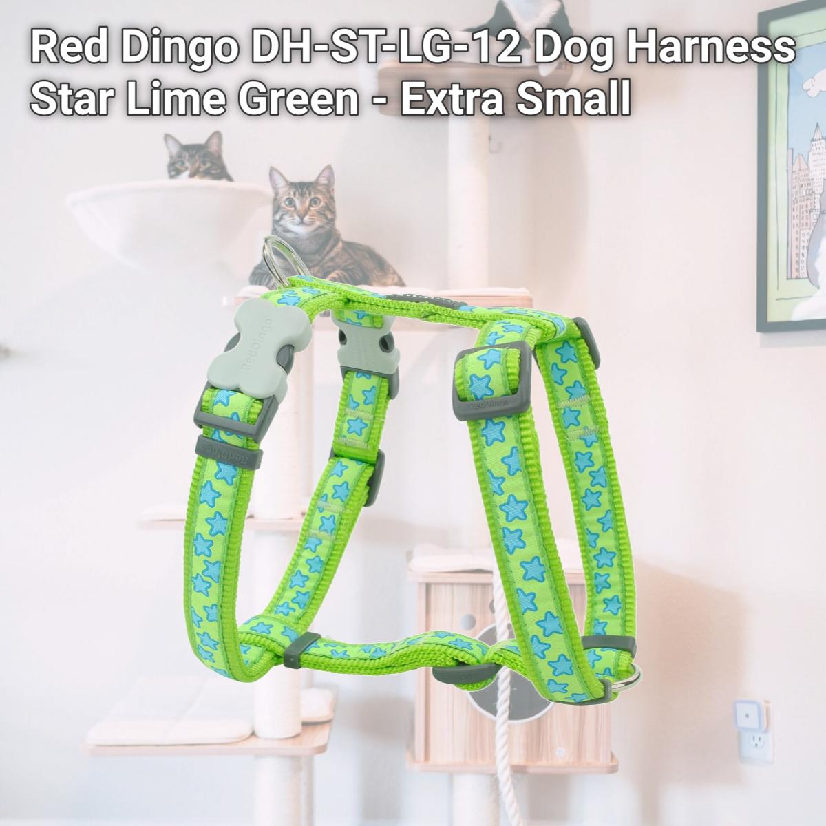 Picture of Red Dingo DH-ST-LG-12 Dog Harness Star Lime Green - Extra Small