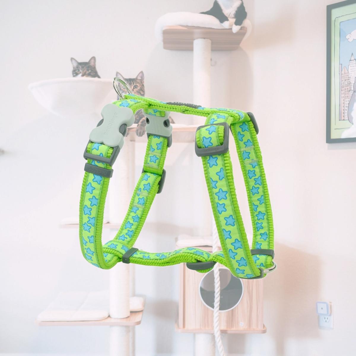 Picture of Red Dingo DH-ST-LG-12 Dog Harness Star Lime Green - Extra Small