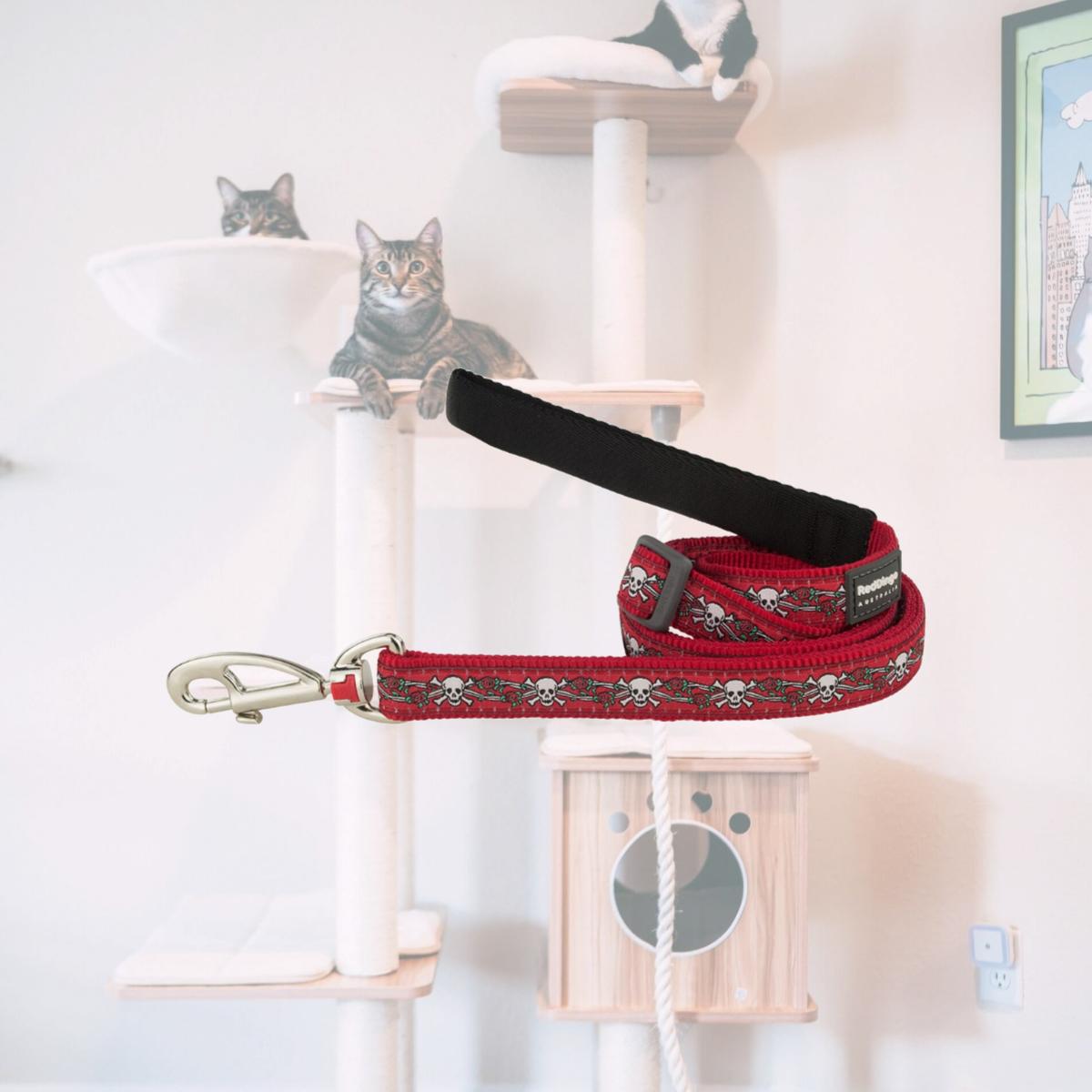 Picture of Red Dingo L6-SR-RE-12 Dog Lead Design Skull & Roses Red - Extra Small 6ft