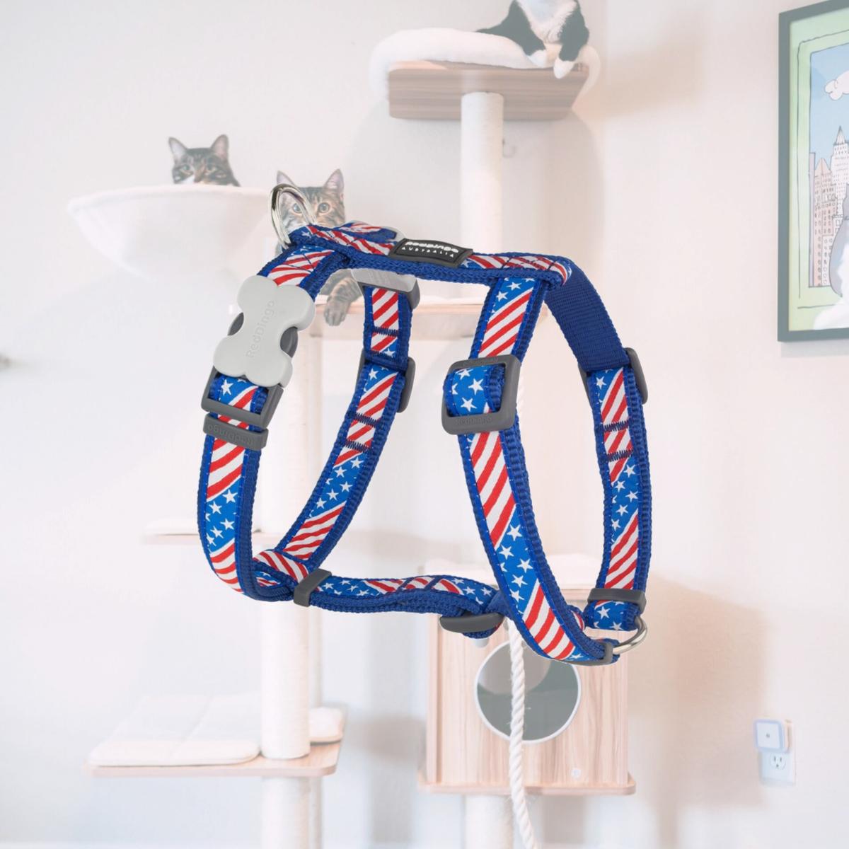 Picture of Red Dingo DH-US-DB-20 Dog Harness US Flag Dark Blue - Medium
