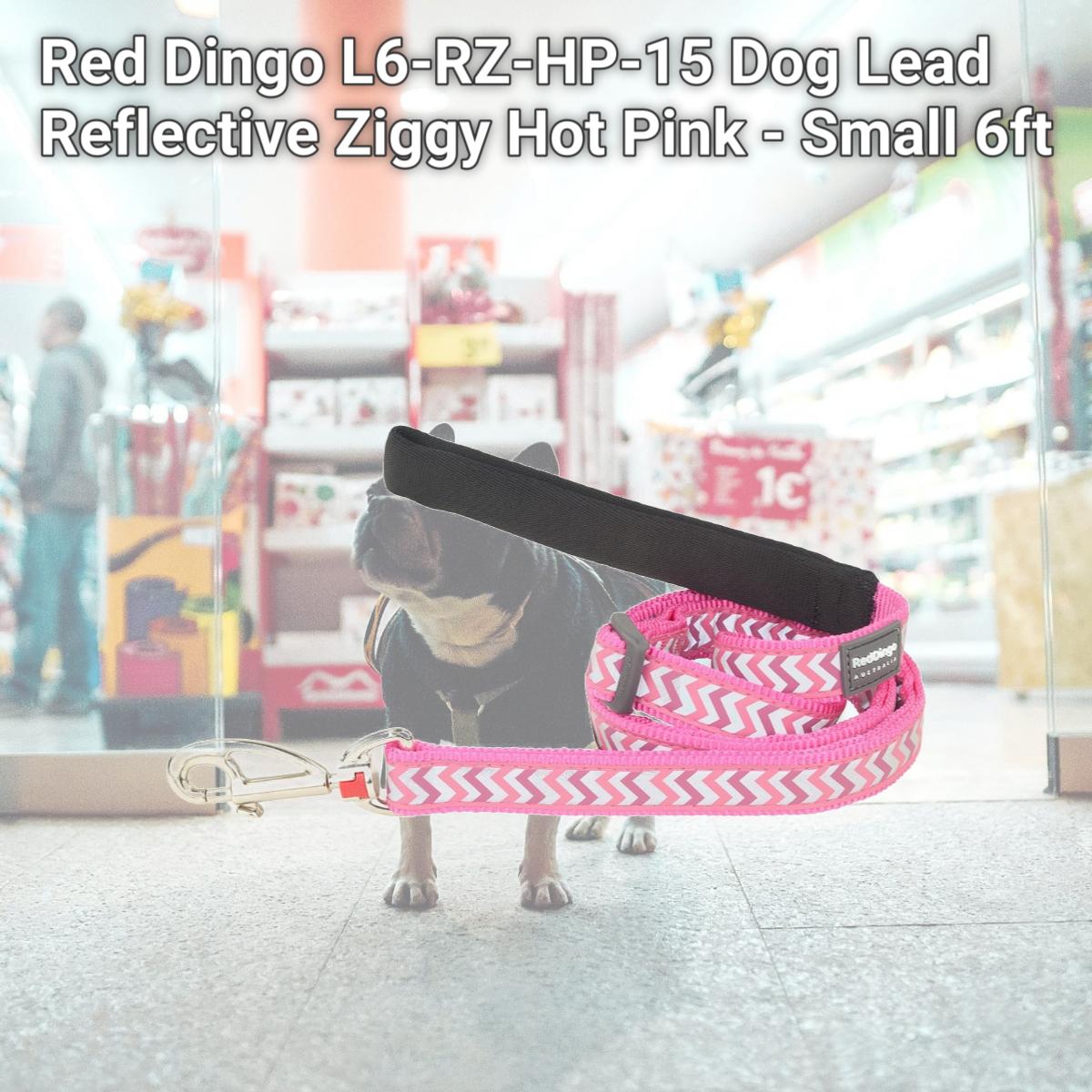 Picture of Red Dingo L6-RZ-HP-15 Dog Lead Reflective Ziggy Hot Pink - Small 6ft