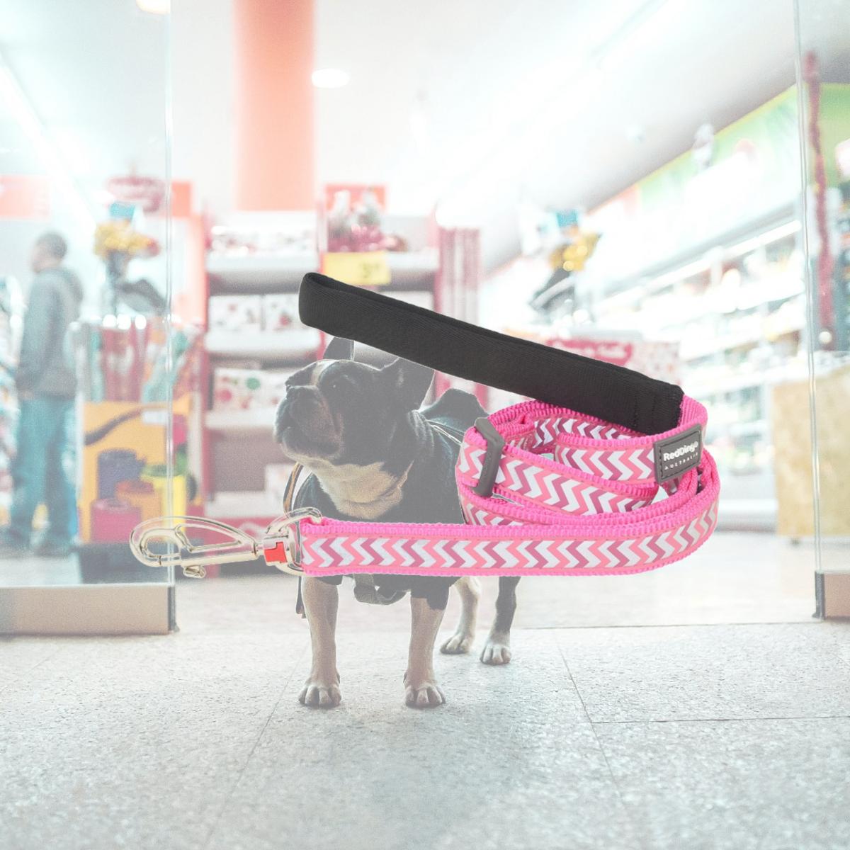 Picture of Red Dingo L6-RZ-HP-15 Dog Lead Reflective Ziggy Hot Pink - Small 6ft